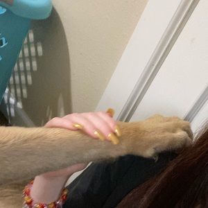 Meet your Posher, Kaydence